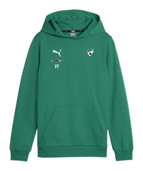 PUMA teamGOAL Casuals Hoody Kids Grün F05