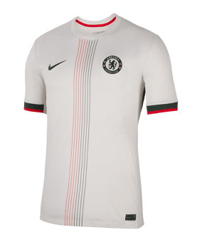 Nike FC Chelsea London Trikot Away 2025/2026 Grau F031 - grau