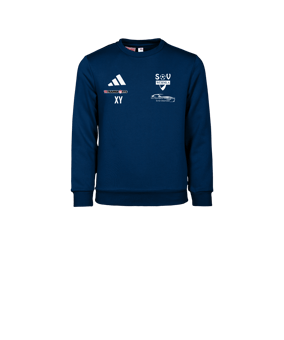 adidas Entrada 26 Sweatshirt Kids Blau