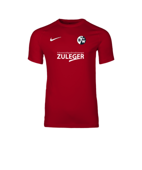 Nike Park VIII Trikot Rot F657