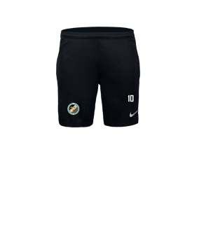Nike Park 26 Short Schwarz F010