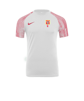 Maillot Nike Academy blanc rouge F100 