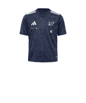 adidas Team Icon 25 Trikot Kids Blau