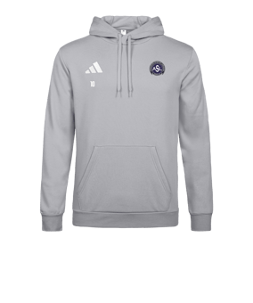 adidas Entrada 26 Sweatshirt à capuche Gris 