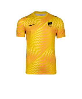 Nike Gardien VI Torwarttrikot Gelb F718