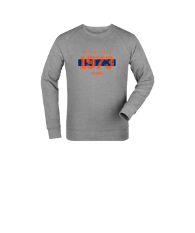 Merch Mini Changer 2.0 Sweatshirt Kids Heather Grey | #established
