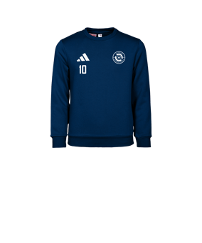 adidas Entrada 26 Sweatshirt Kids Blau
