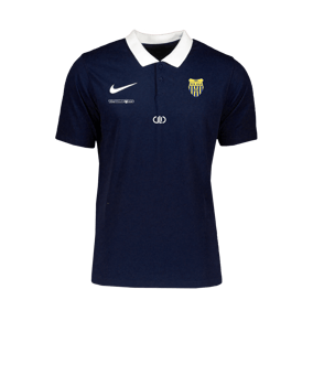 Nike Park 20 Poloshirt Blau Weiss F451
