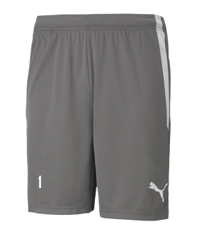 PUMA teamLIGA Short Grau Weiss F13