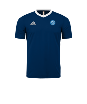 adidas Entrada 22 Trikot Blau