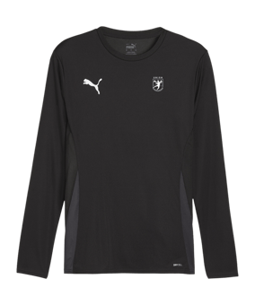 PUMA teamGOAL Trikot Langarm Schwarz Weiss F03