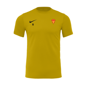 Maillot à manches courtes Nike Park VII jaune F719 