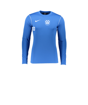 Nike Park 20 Sweatshirt Kids Blau Weiss F463