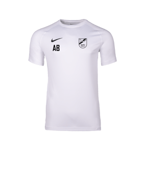 Nike Park VIII Trikot Weiß F100