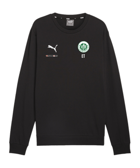 PUMA teamGOAL Casuals Sweatshirt Schwarz F03