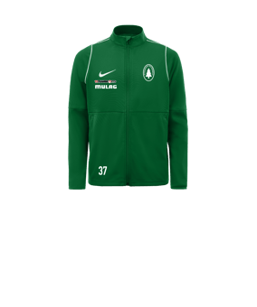 Nike Park 20 Trainingsjacke Kids Grün Weiss F302