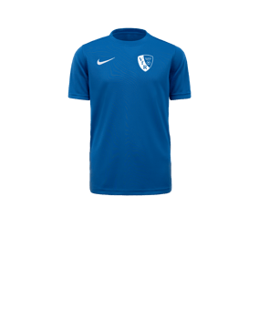 Nike Park VII Trikot kurzarm Kids Blau F463