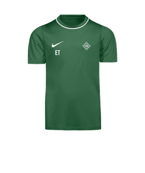 Nike Park 26 Trainingsshirt Kids Grün F302