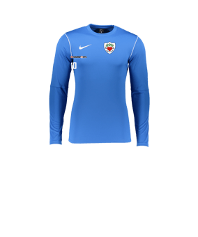 Nike Park 20 Sweatshirt Kids Blau Weiss F463