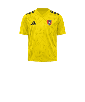 adidas Team Icon 25 Camiseta Kids amarillo 