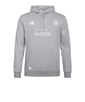 adidas Entrada 26 Hoody Grau