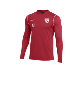Nike Park 20 Sweatshirt Kids Rot Weiss F657