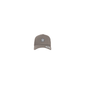 Merch 5 Panel Curved Snapback Cap Grey