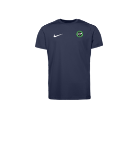 Nike Park VIII Trikot Kids Blau F410