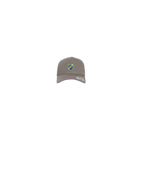Merch 5 Panel Curved Snapback Cap Grey