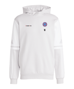 adidas Squadra 25 Hoody Grau