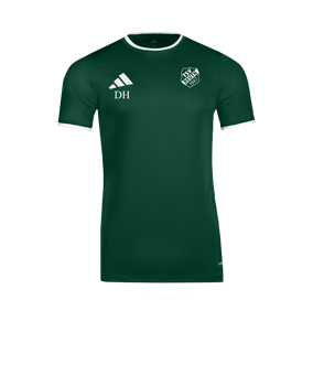 adidas Entrada 26 Trikot Grün