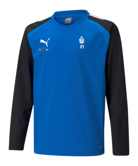 PUMA teamLIGA Sweatshirt Kids Blau F02