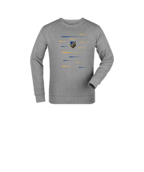 Merch Mini Changer 2.0 Sweatshirt Kids Heather Grey | #lines