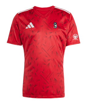adidas Team Icon 25 Trikot Rot