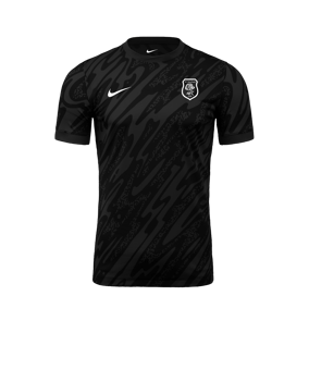 Nike Gardien V Torwarttrikot Grau F060