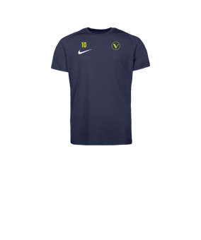 Nike Park VIII Trikot Kids Blau F410