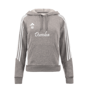 adidas Tiro 24 Hoody Damen Grau Weiss