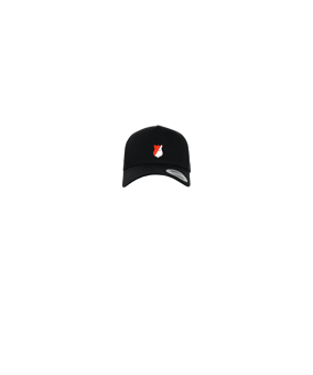 Merch 5 Panel Curved Snapback Cap Schwarz | logo4c