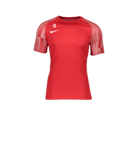 Nike Academy Trikot Kids Rot Weiss F657