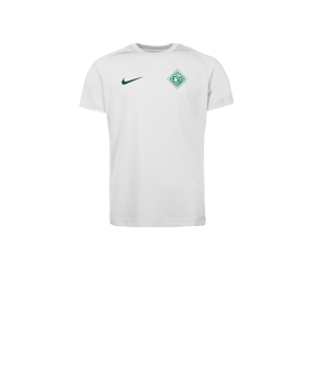 Nike Park VIII Trikot Kids Weiß F102