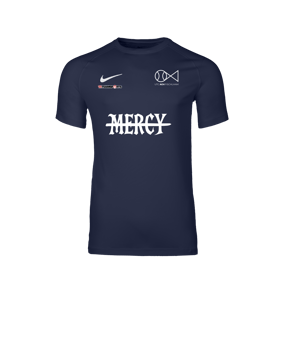 Nike Park VIII Trikot Blau F410