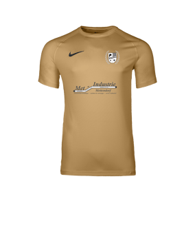 Nike Park VIII Trikot Gold F729