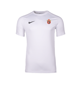 Nike Park VIII Trikot Weiß F100