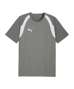 PUMA teamFINAL26 Training Trikot Grau F13