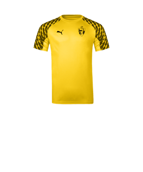 PUMA teamLIGA26 Trikot Kids Gelb F07