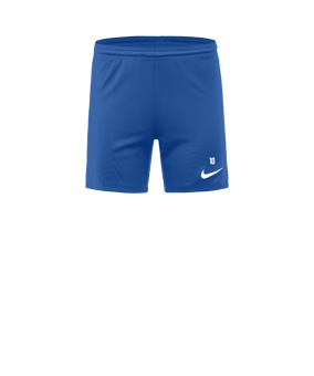 Nike Park III Court Femmes Bleu C463 