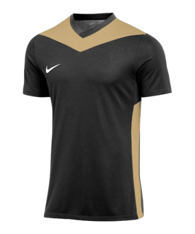 Nike Park Derby IV Trikot Schwarz Gold F011 - schwarz