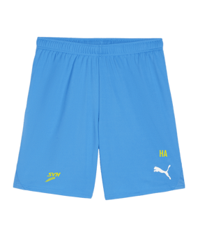 PUMA teamGOAL Short Blau Weiss F02