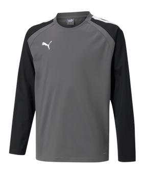 PUMA teamLIGA Sweatshirt Kids Grau F13 - grau