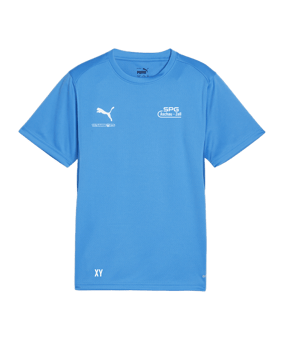 PUMA teamGOAL Trikot Kids Blau F02